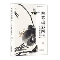  画意摄影图谱:让摄影走近绘画（货号：A4) 李振宇 赵晓航 9787517908135 中国摄影出版社书源图书专营店