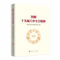  图解十九届六中全会精神 9787010240114 人民出版社【直发】 达额立减 闪电发货 80%城市次日达！